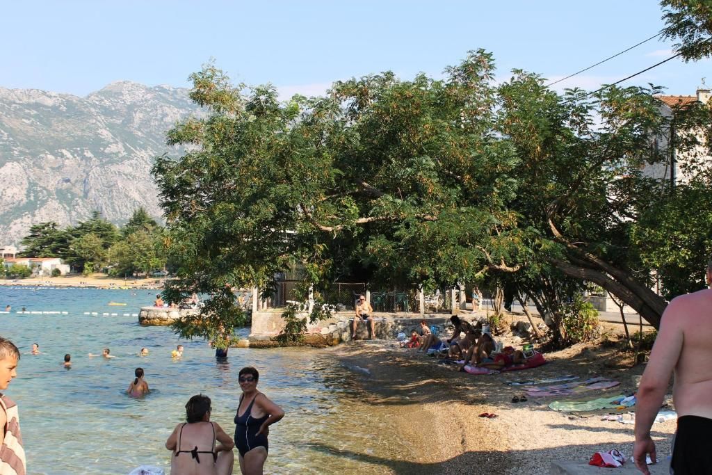 Дома для отпуска Apartment Matko Котор